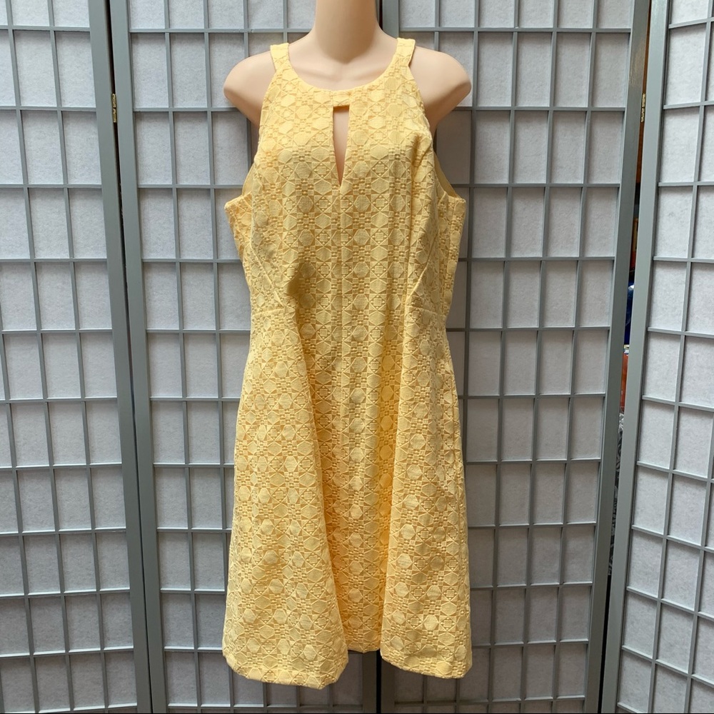 SALE / 14 NWT WHBM yellow lace dress size 14